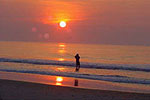 Assateague State Park