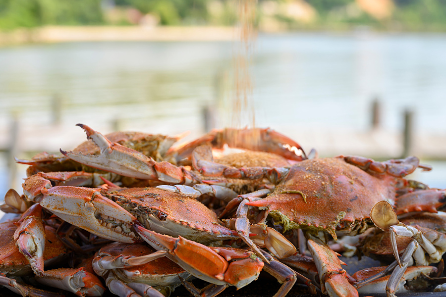 Blue Crabs - Charles County, Maryland