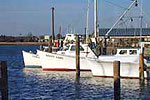 Crisfield