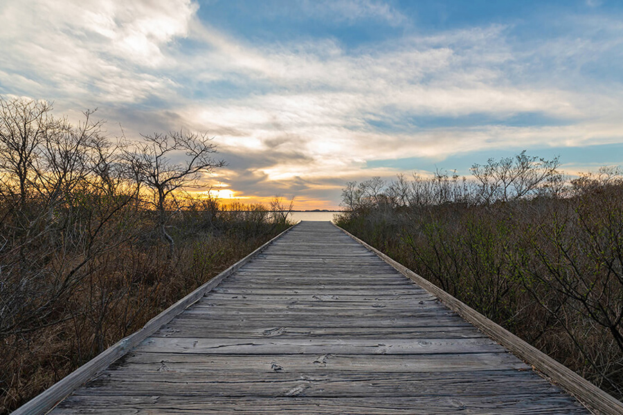 Assateague Island Boardwalk - Worcester County, Maryland