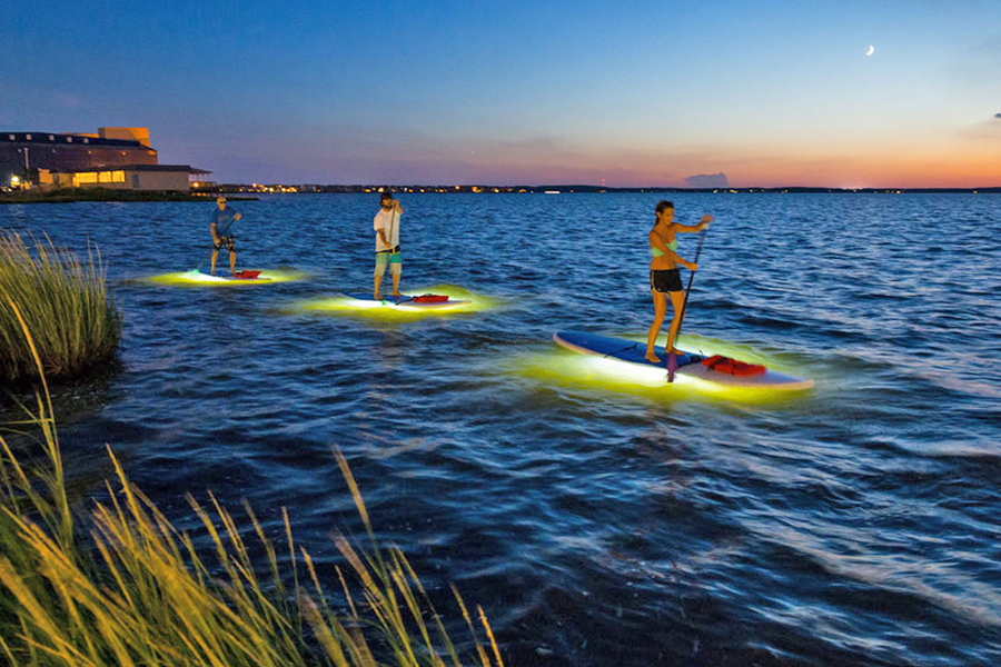 Night Paddleboarding - Worcester County, Maryland